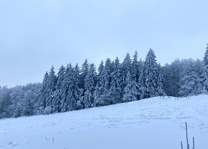 Le Chalet Du Hohwald